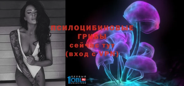 экстази Касимов