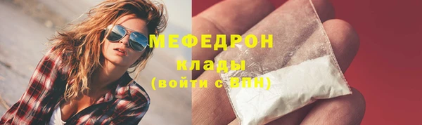 индика Киреевск