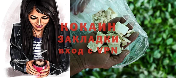 молекула духа Карпинск