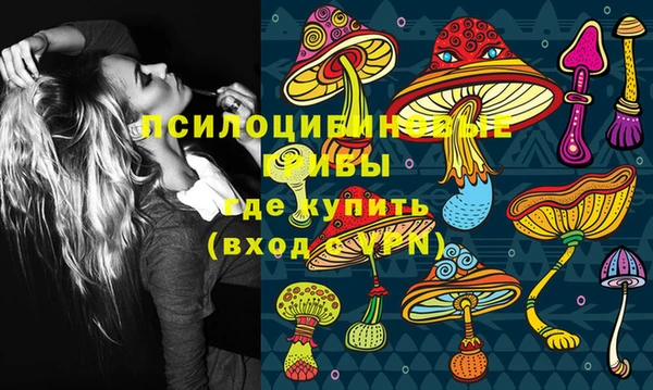 молекула духа Карпинск
