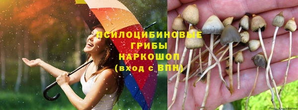 экстази Касимов